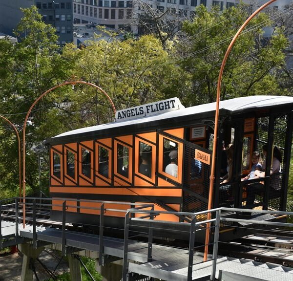 elevate marketing online platform