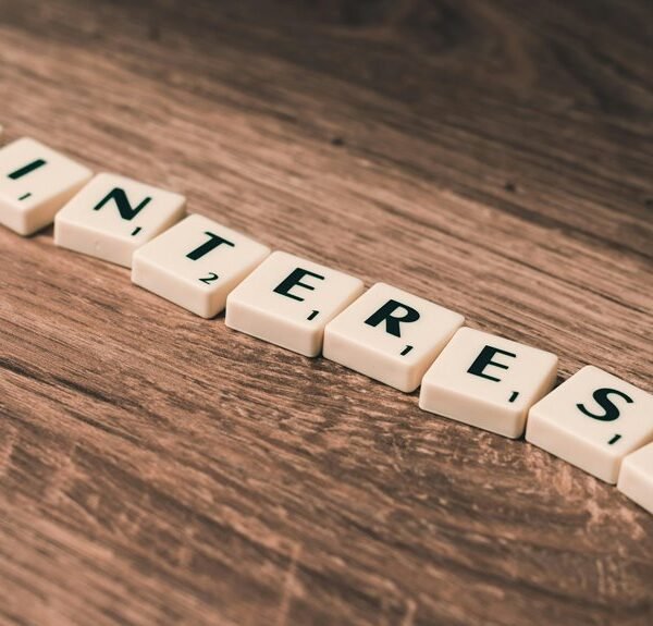 Elevate Your Marketing 8773210030 Online Platform