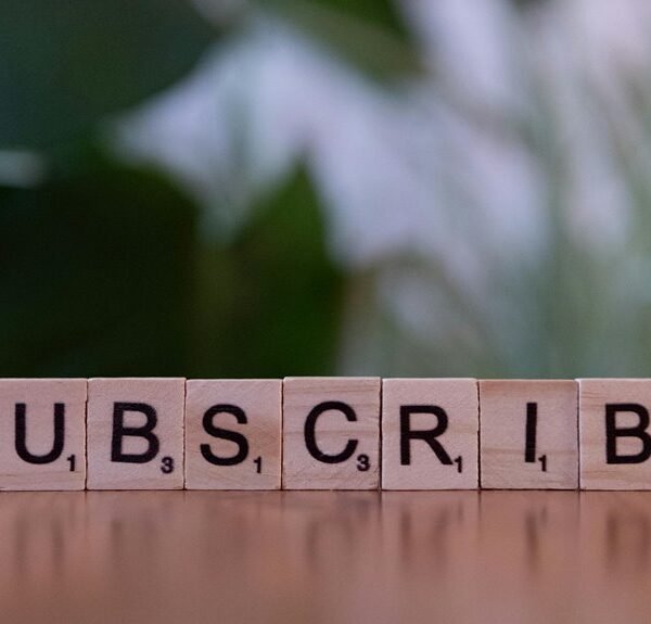 elevate your online marketing